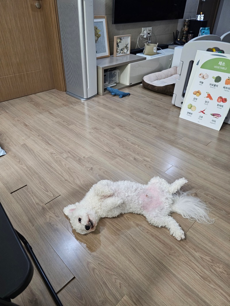 둘째 공유