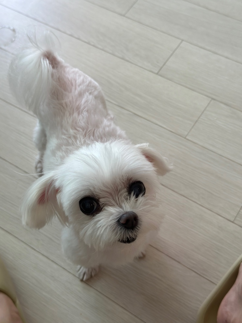 단비야~