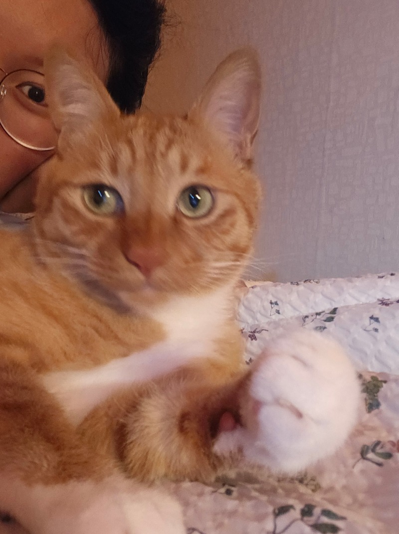 오늘에 나나에욥