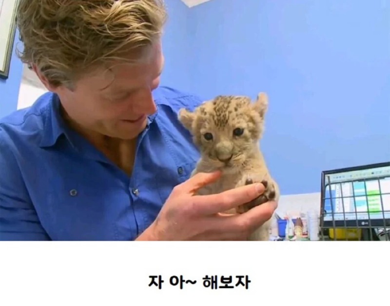 사자 앞니 검사하는날 