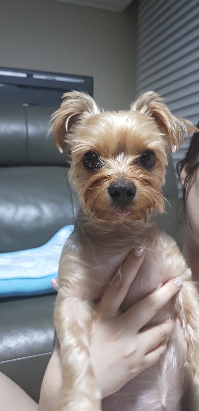 귀여운 코코♥