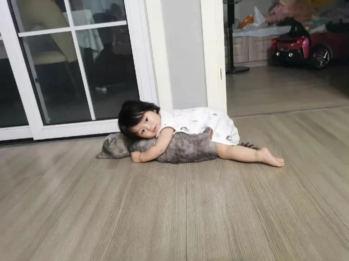 업보를 돌려받은 고양이