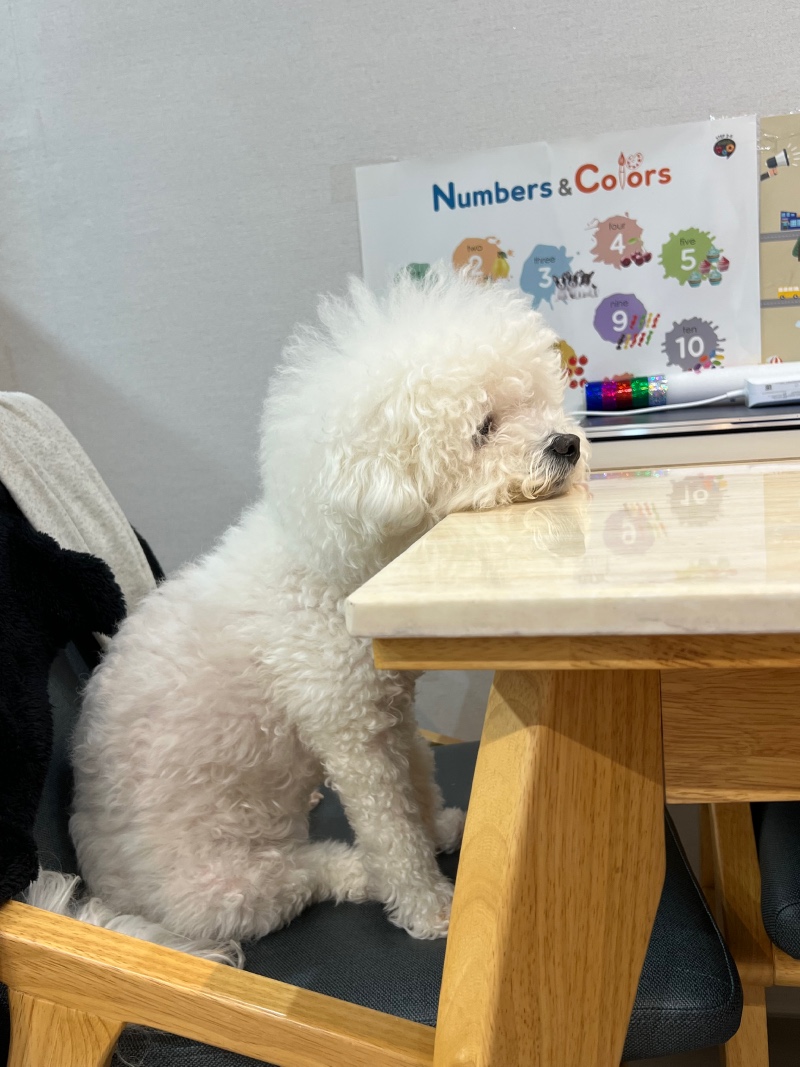 한입만…