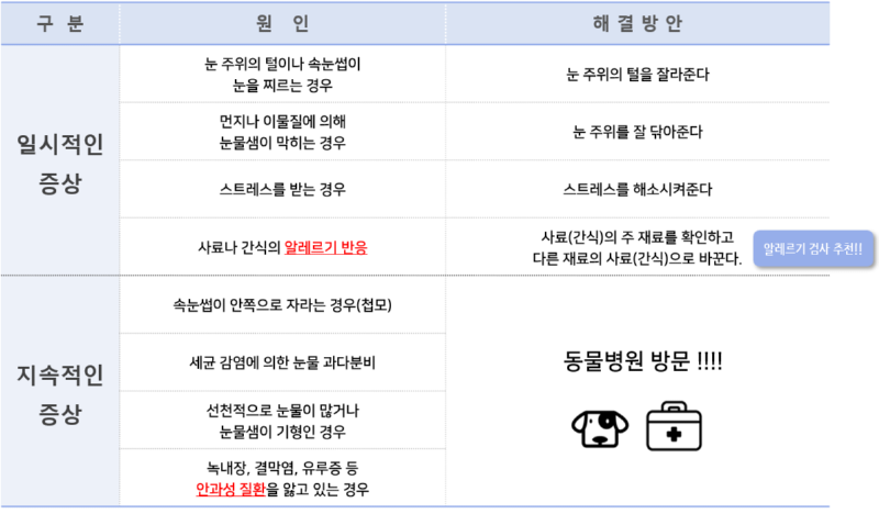 강아지 눈물자국 관리, 생기는 원인과 해결방안 