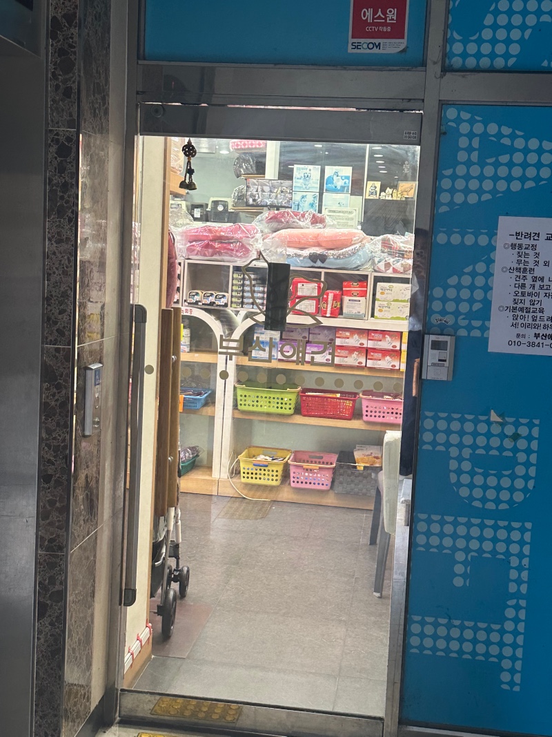 부산애견에 용품 사러 갔어용
