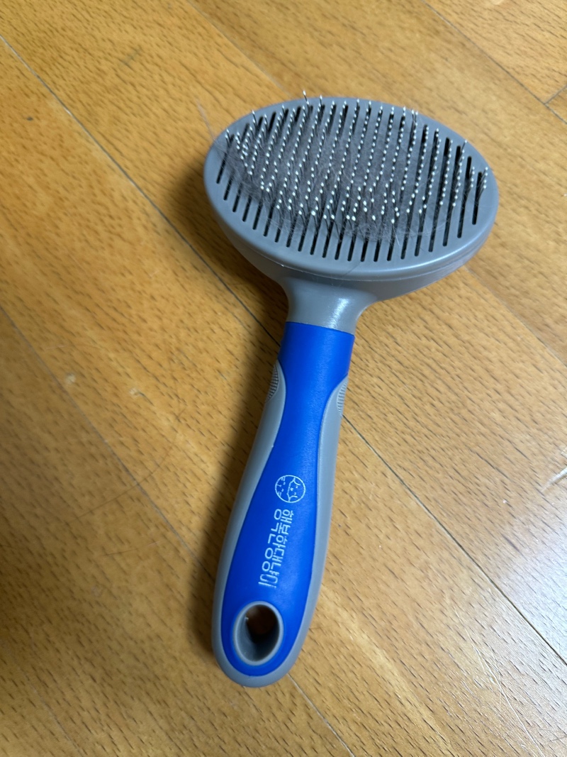 부산애견에 용품 사러 갔어용