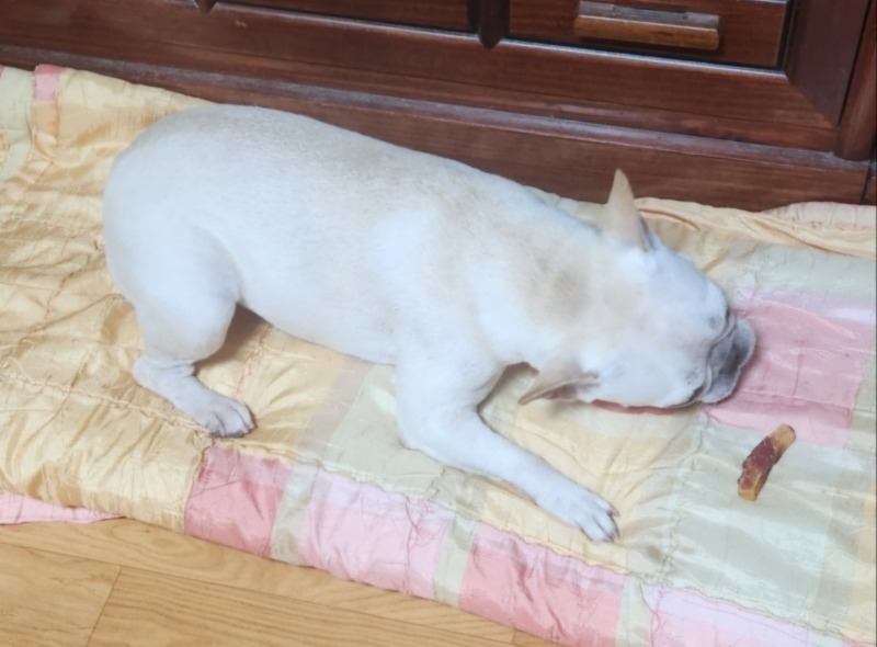KakaoTalk_20240724_174201130.jpg