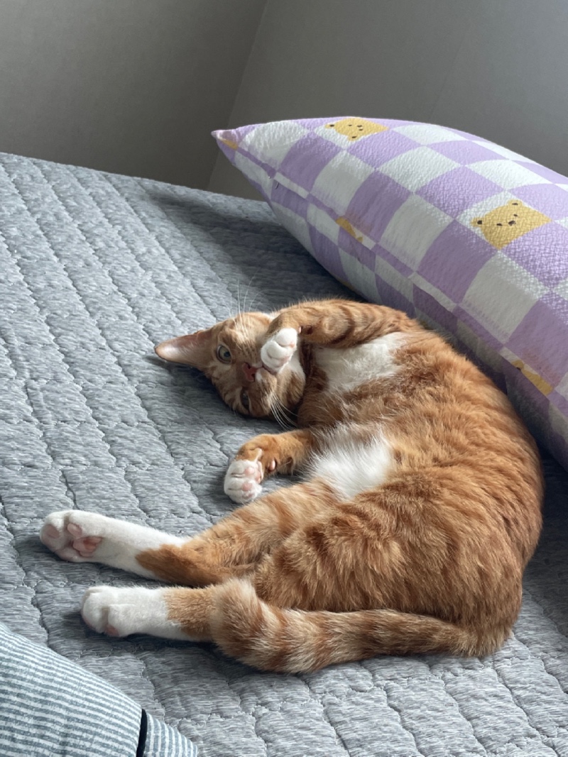 꿀잠zzz