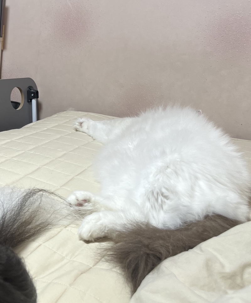 더울땐 가만히