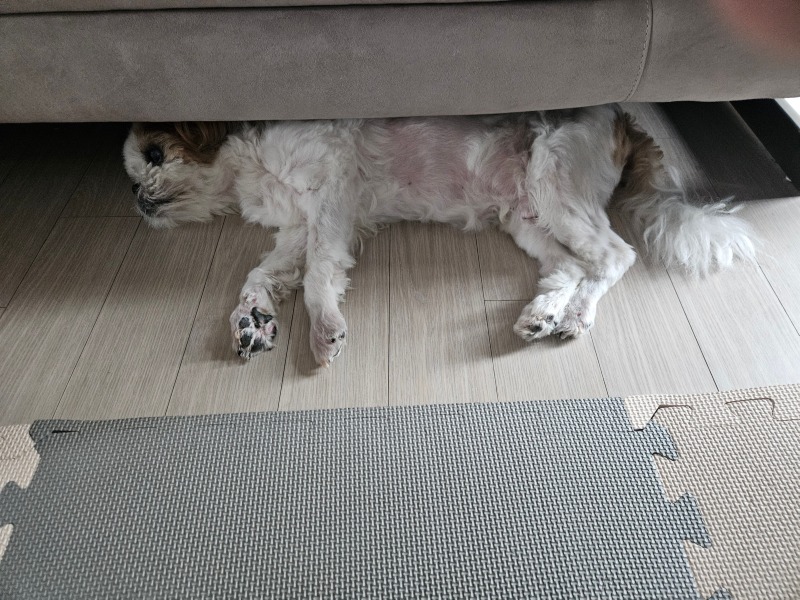  폭염주의보