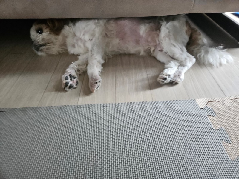  폭염주의보