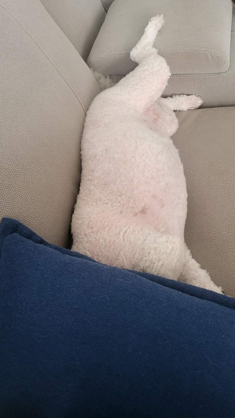 무더위 낮잠