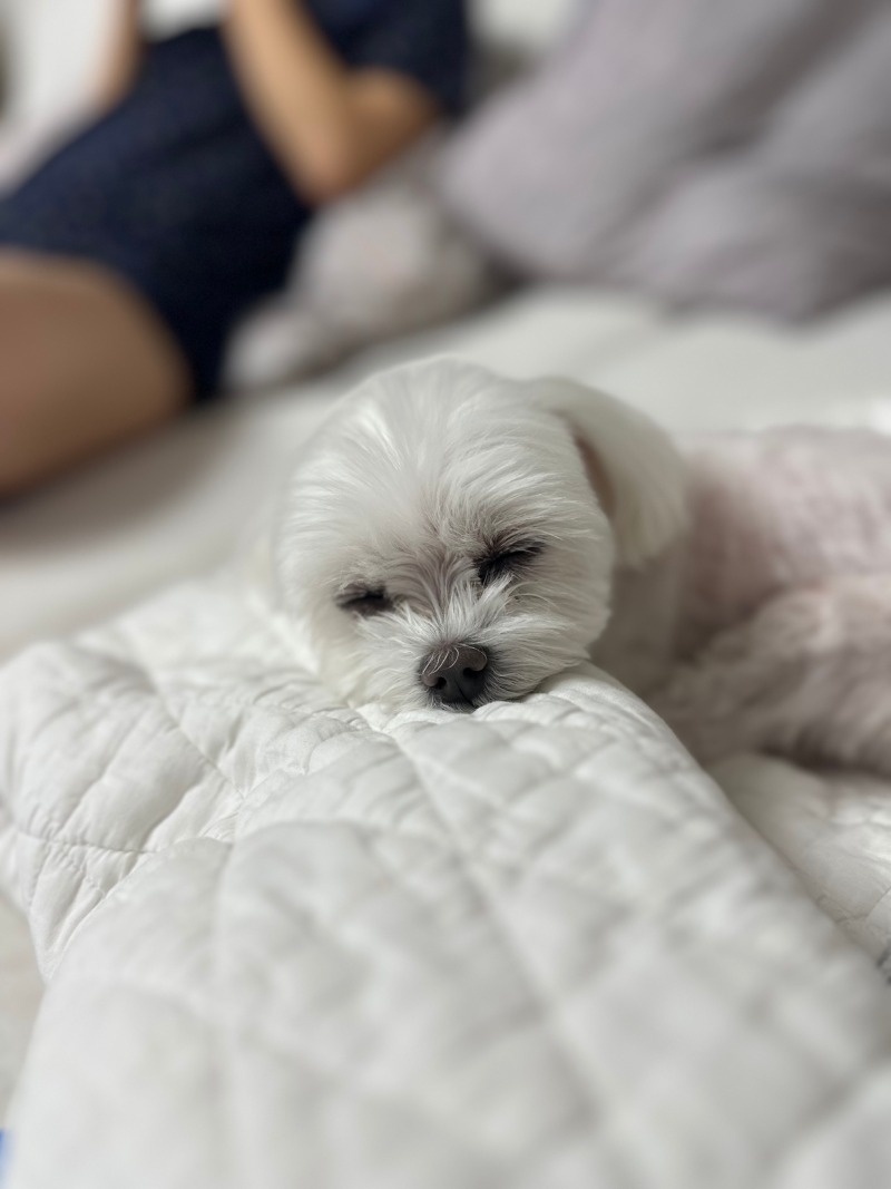 잠오는단비!