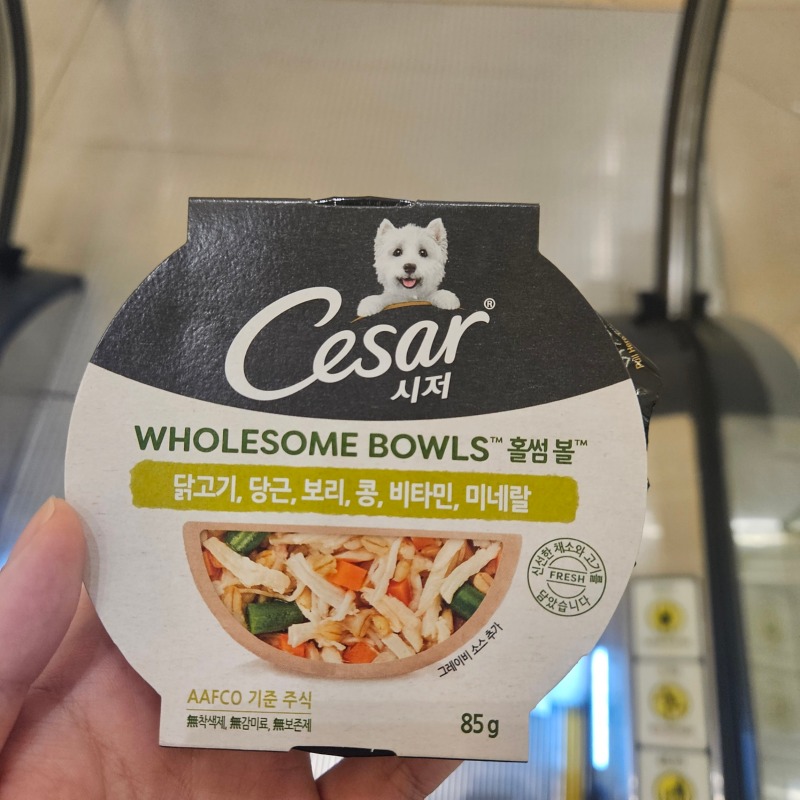 시저홈썸볼.jpg