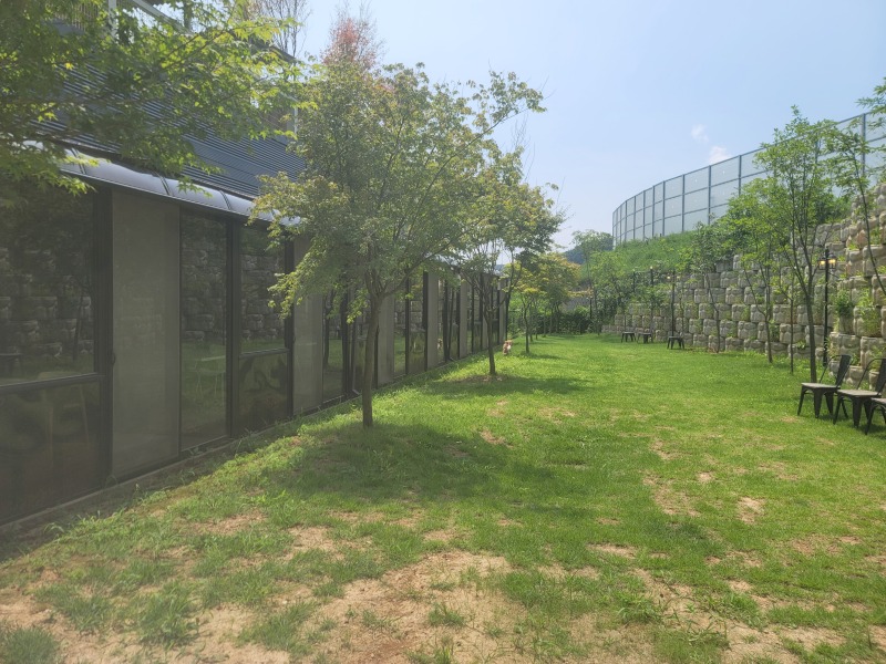 파주 애견카페 "퍼피힐", 카페&식당&운동장