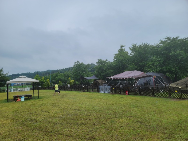 충남예산시장 근처, "피플앤독 힐링캠핑장"