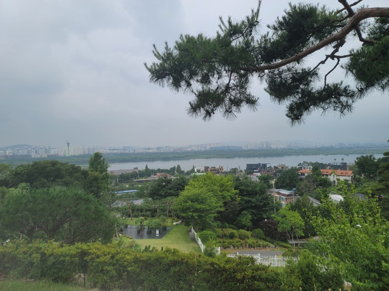 카페스토리, 남양주 애견카페와 캠핑을 동시에! 
