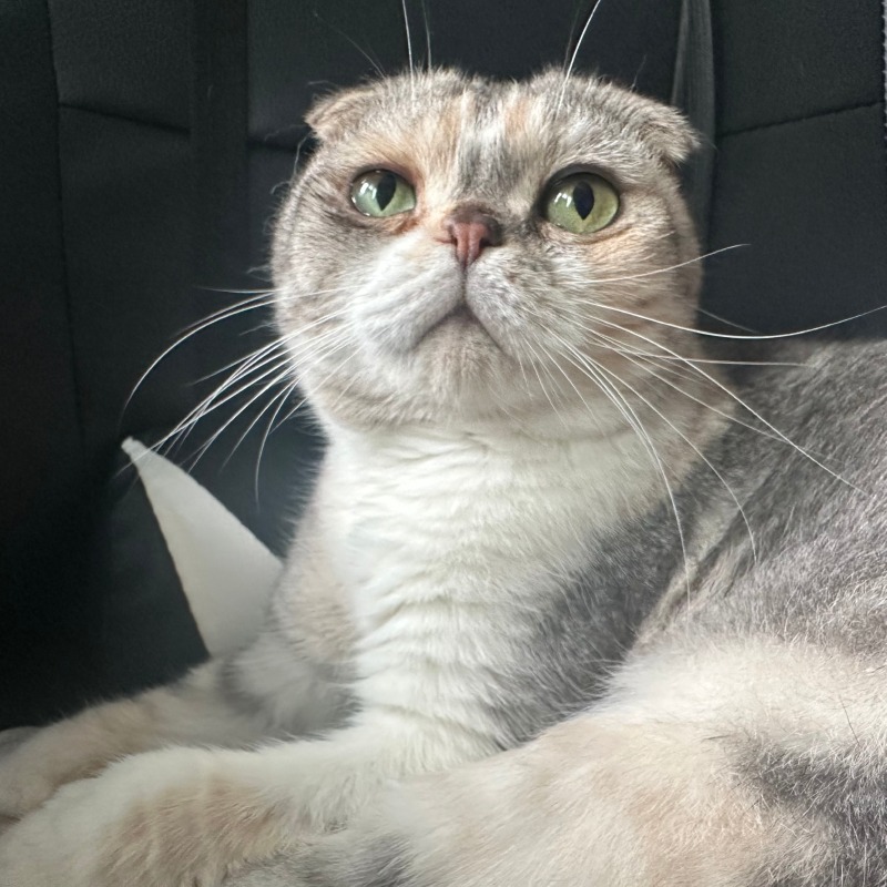 KakaoTalk_20240808_113237806_06.jpg