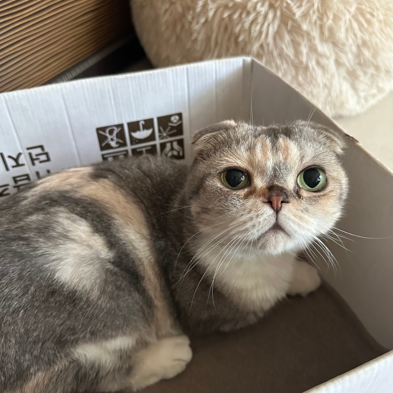 KakaoTalk_20240808_113237806_05.jpg