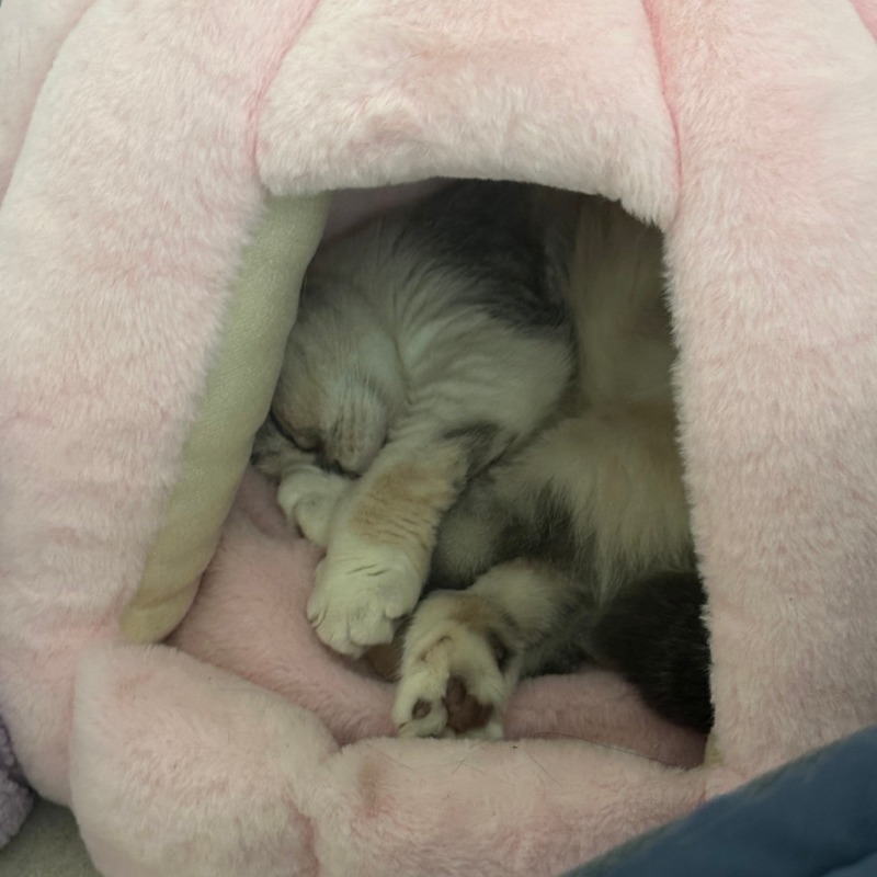 KakaoTalk_20240808_113414671.jpg