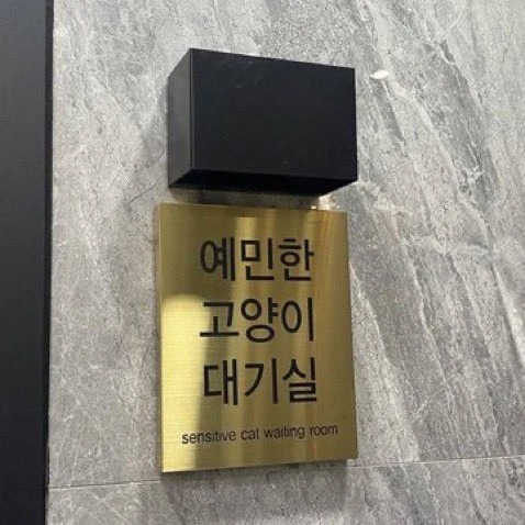 요즘 mz식 동물병원 서비스 