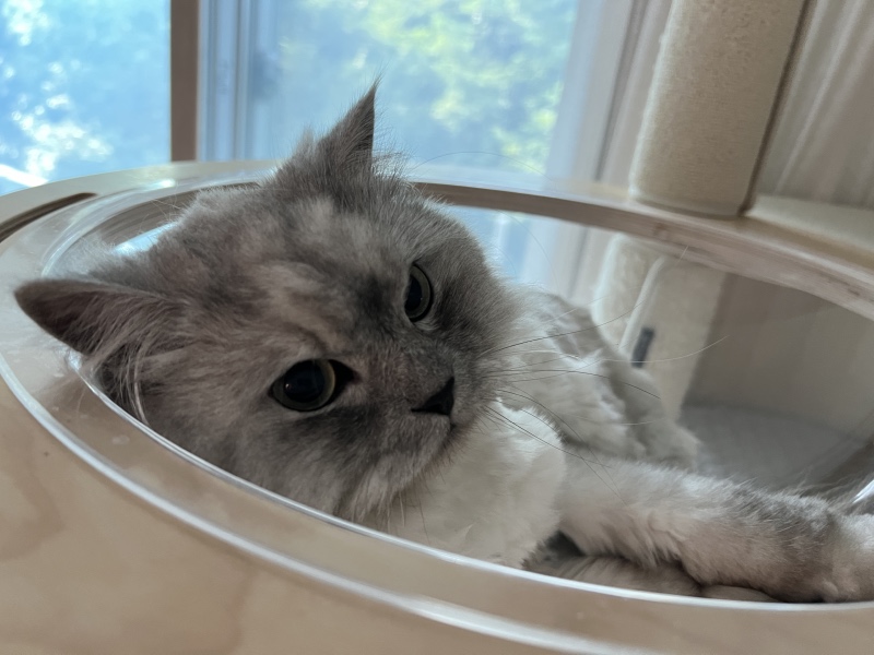투명해먹 지킴이 뭉이 ㅋㅋ