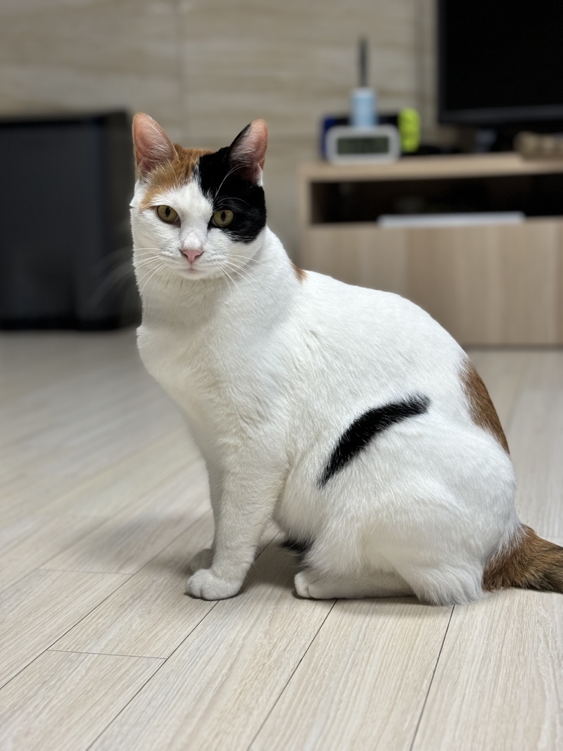 엄마 나좀 봐 멋지지?