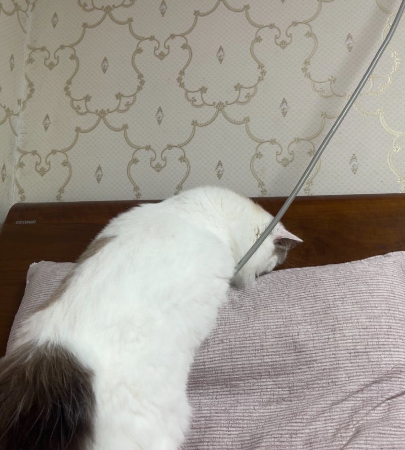 벌레가 있나?