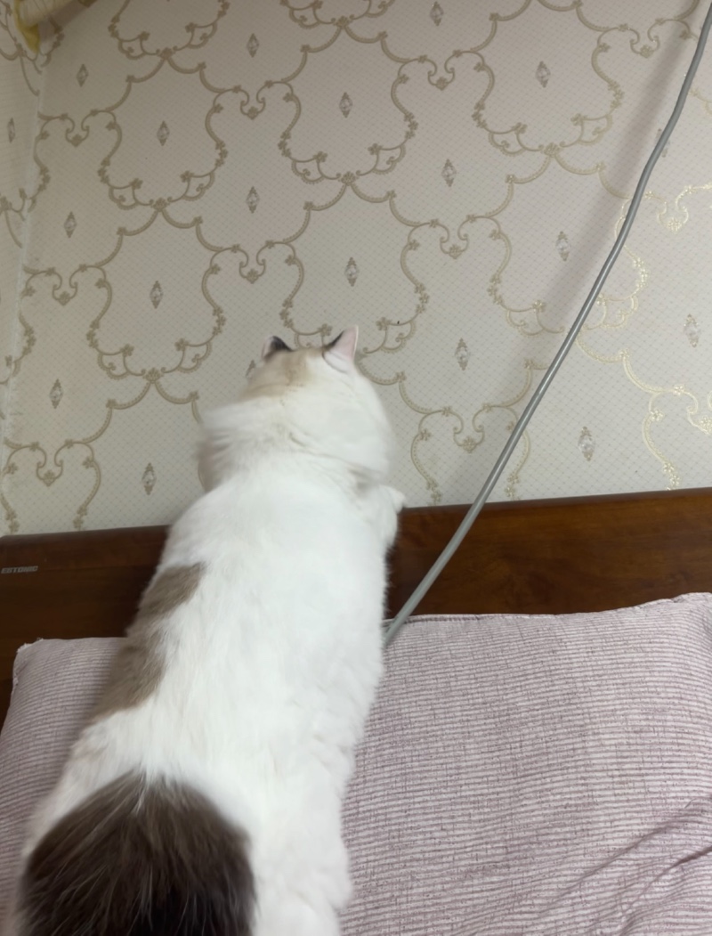 벌레가 있나?