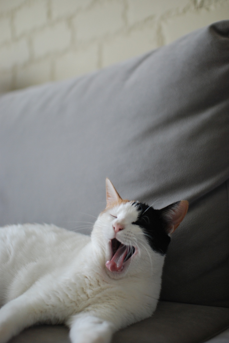 하~품