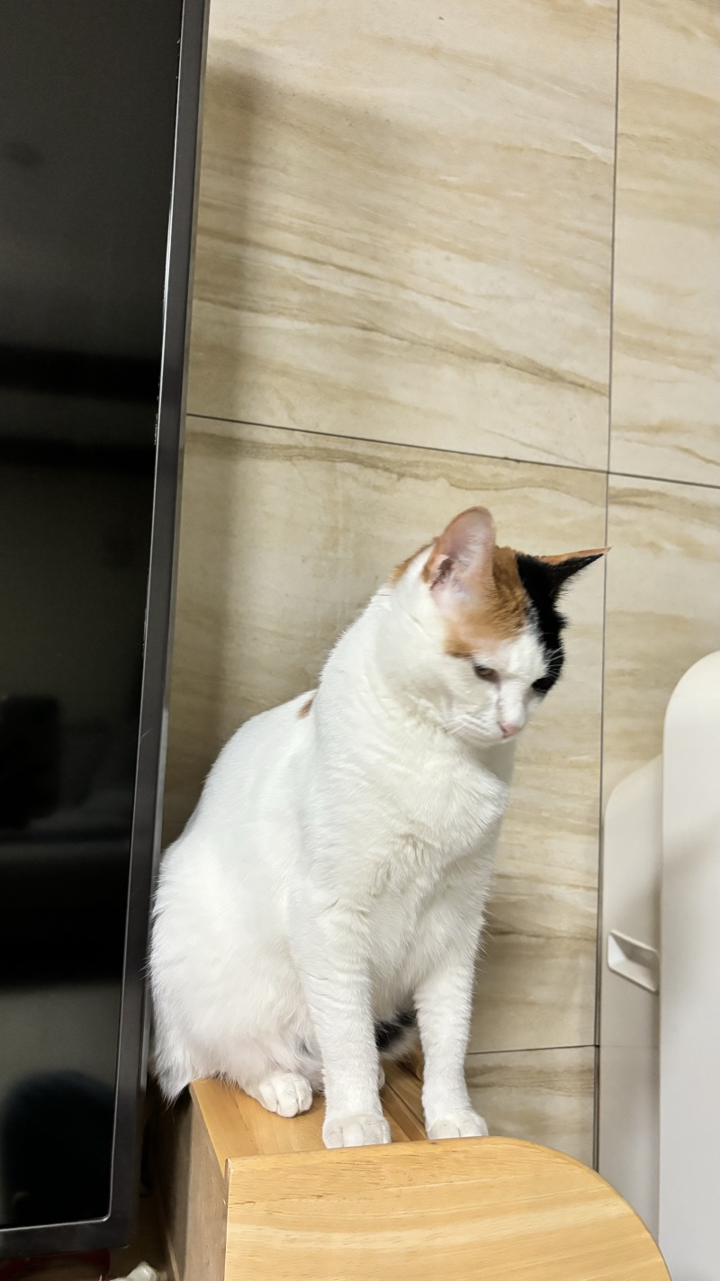머하냐고~어디보냐고~
