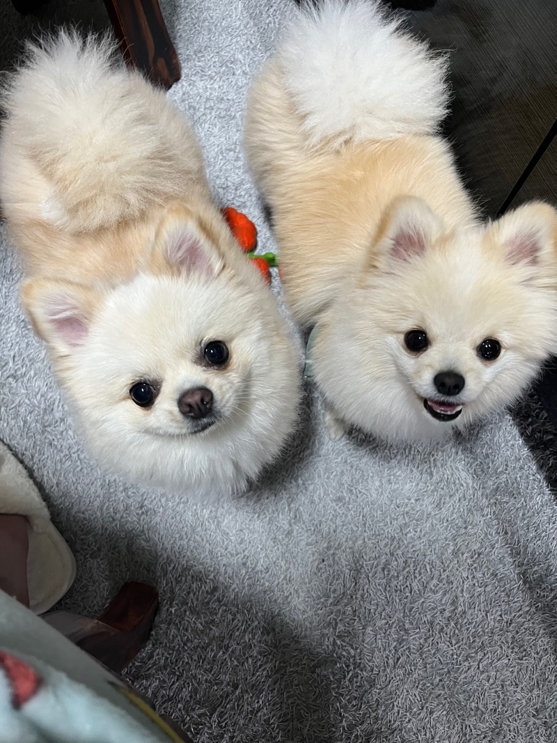 오늘하루