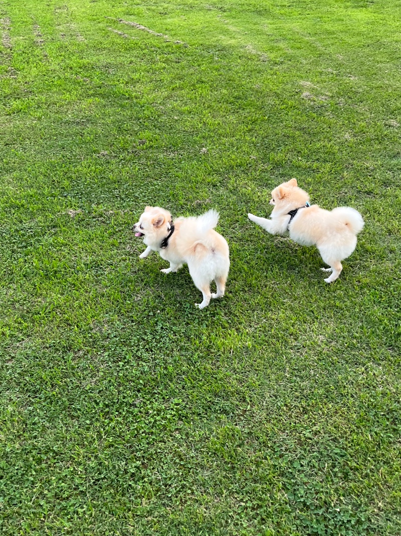 오늘하루