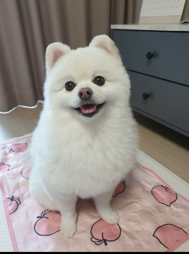 하루~~