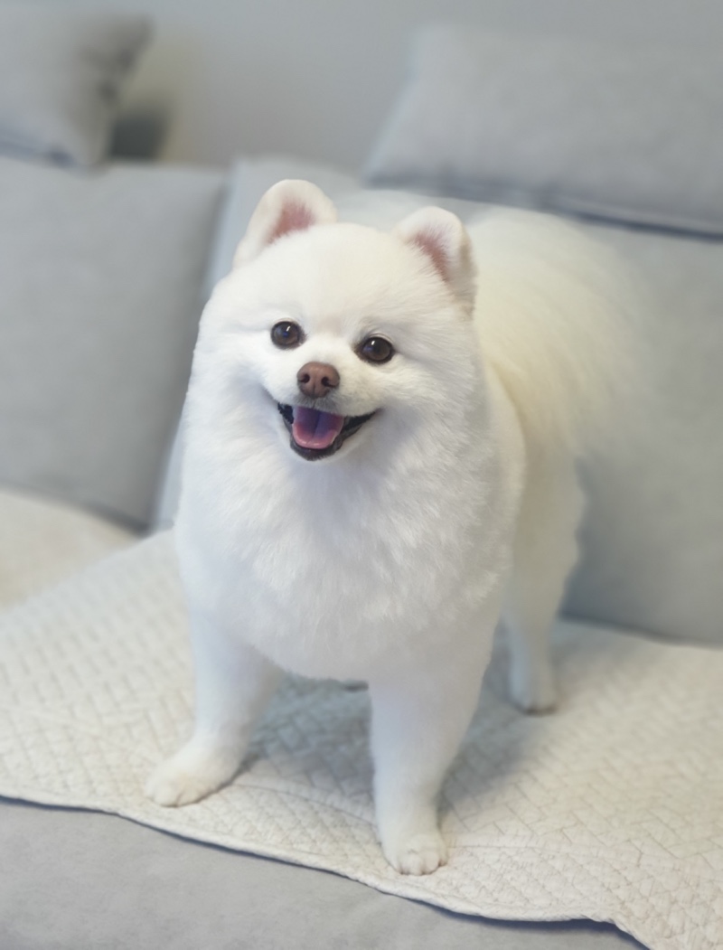 하루~~