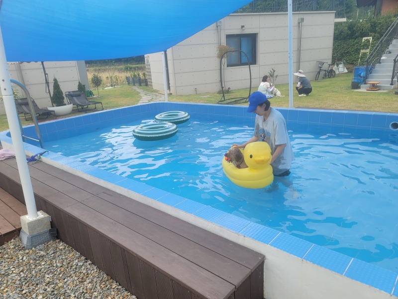 구례 애견펜션 "스며들397펜션"