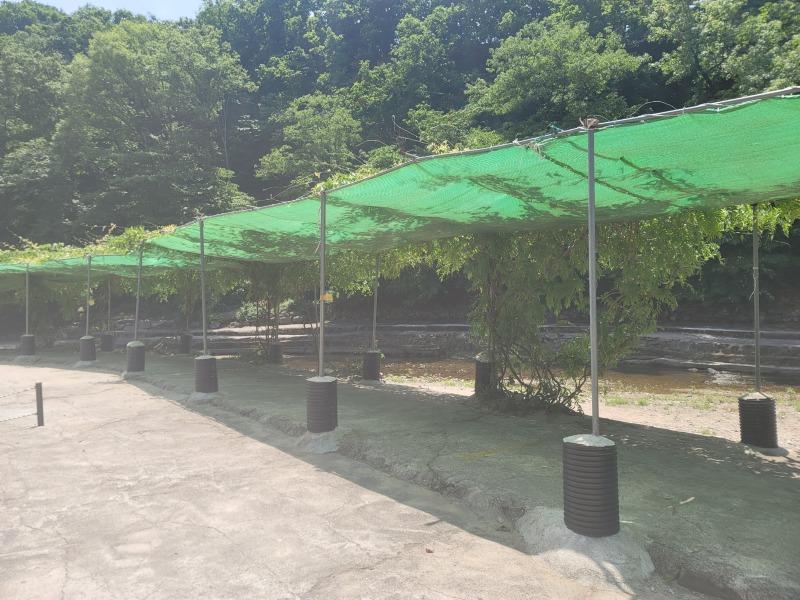 애견동반 가능한 계곡유원지, 양주 "그랜드유원지"