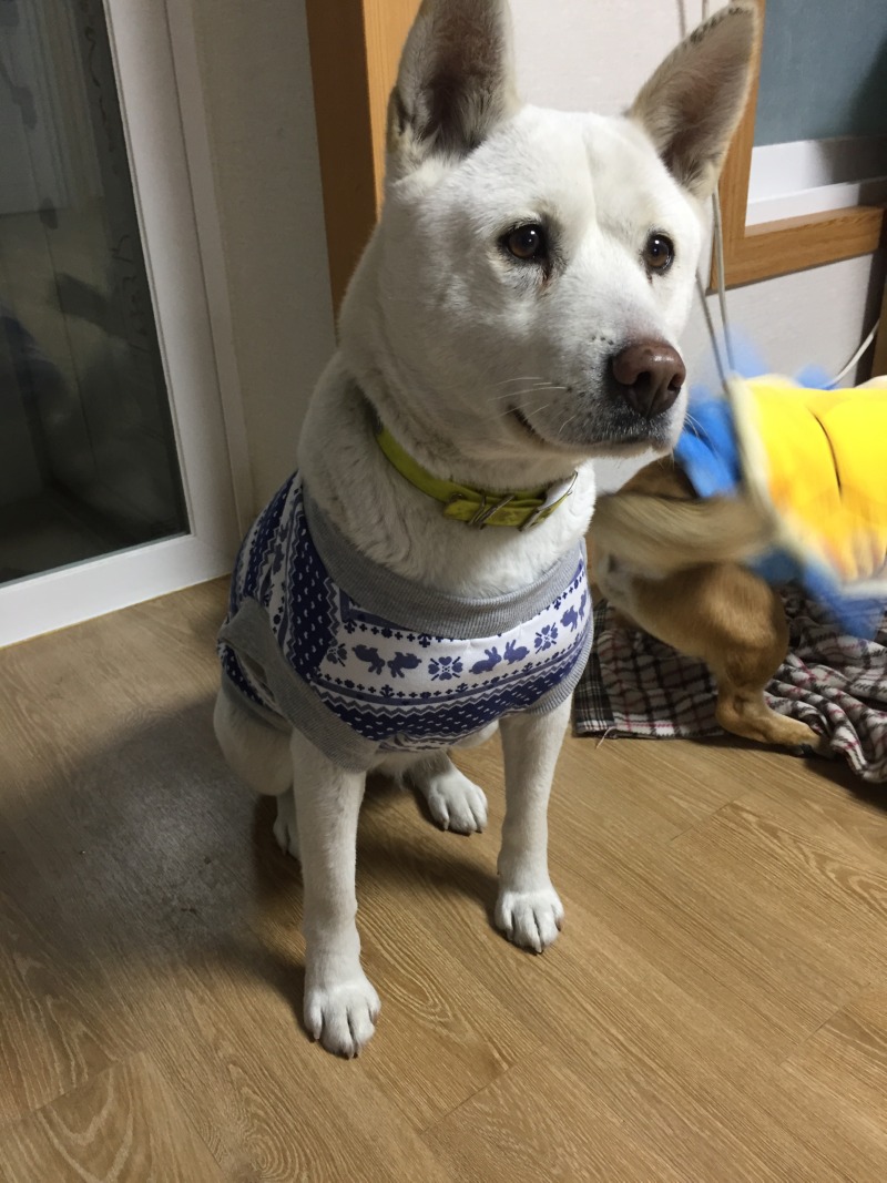 순이