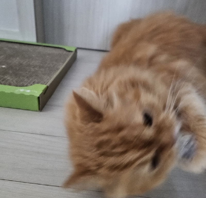 회오리 돌기