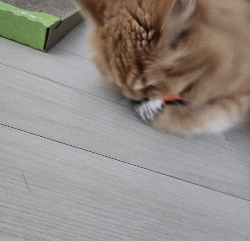 회오리 돌기