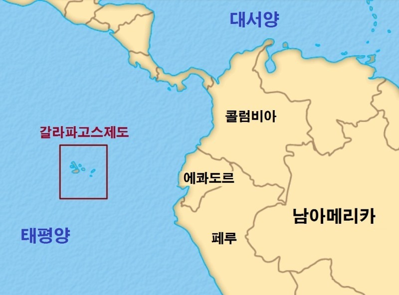 세계 유일 해양성 도마뱀 바다이구아나