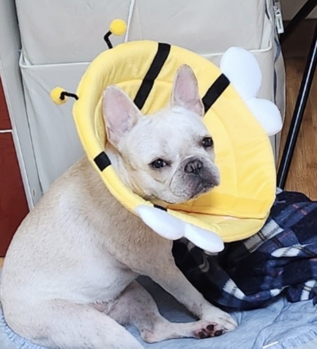 KakaoTalk_20240806_214038466.jpg