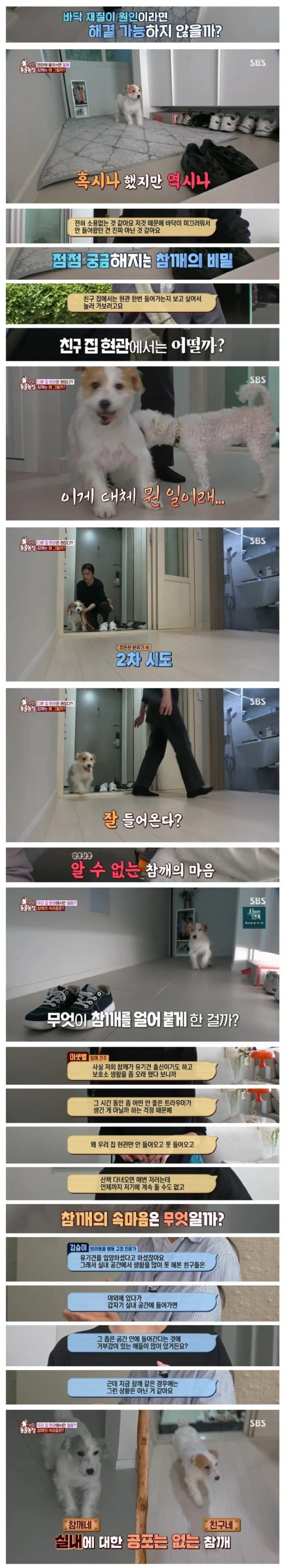 강아지가 산책하고 돌아오면 현관에서 버팅기던 이유.jpg