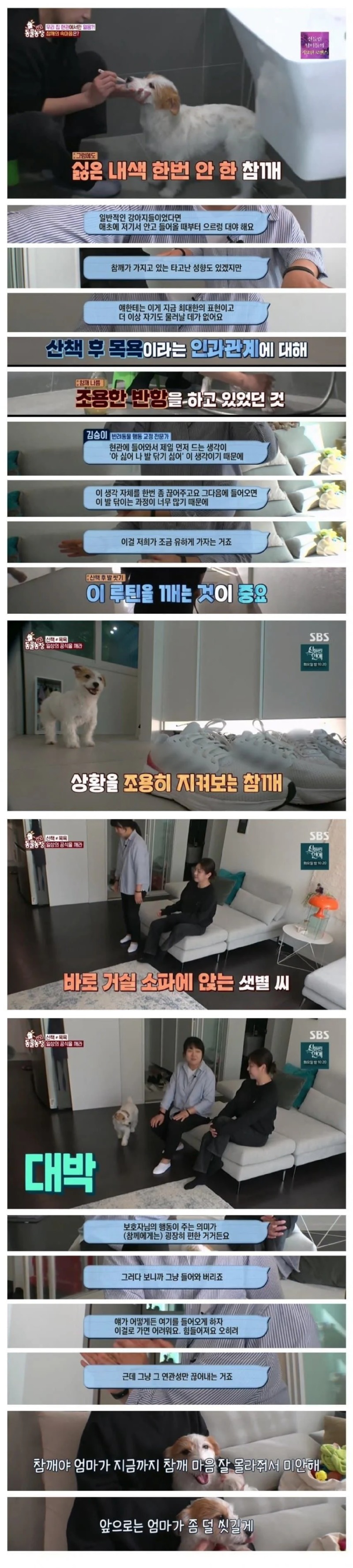 강아지가 산책하고 돌아오면 현관에서 버팅기던 이유.jpg