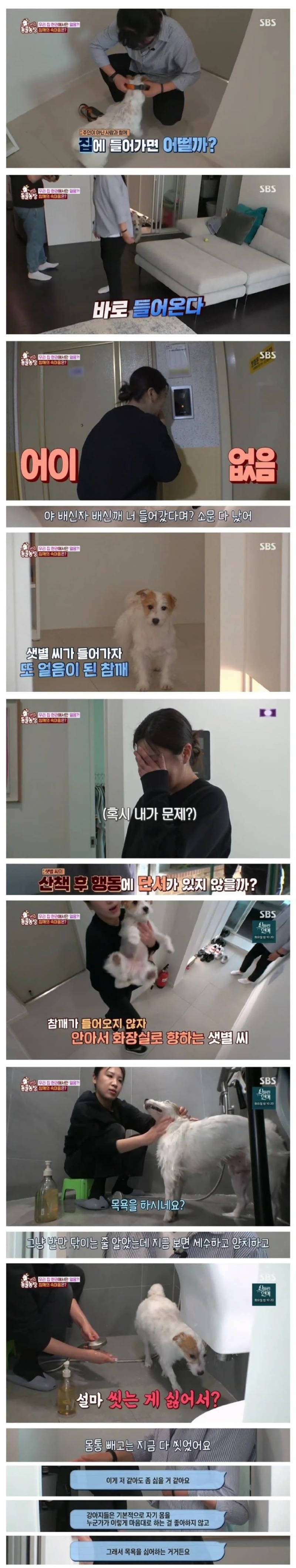 강아지가 산책하고 돌아오면 현관에서 버팅기던 이유.jpg