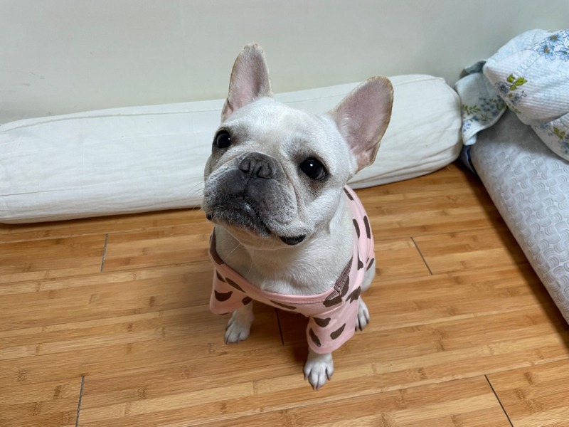 찐빵