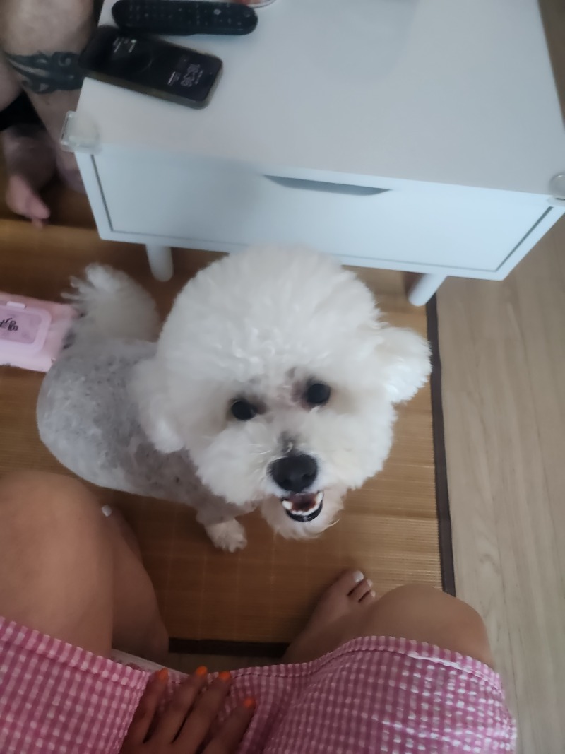 혼자집에서 심심한 만두