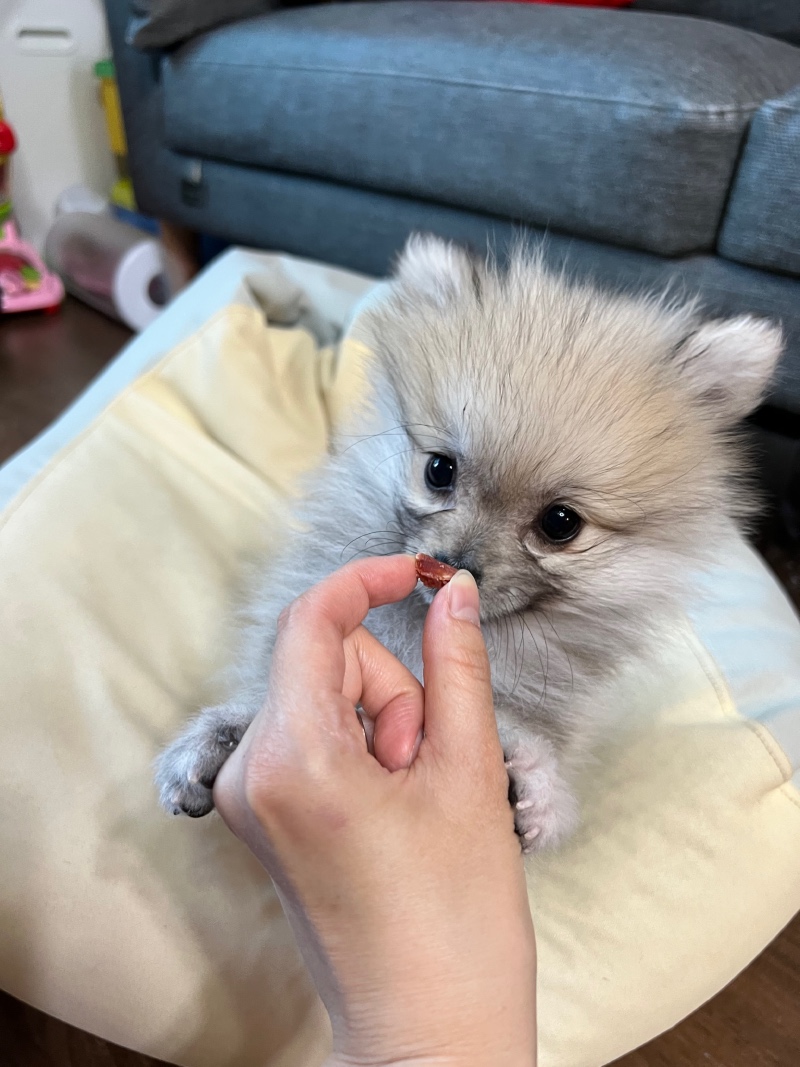 빨리커랏