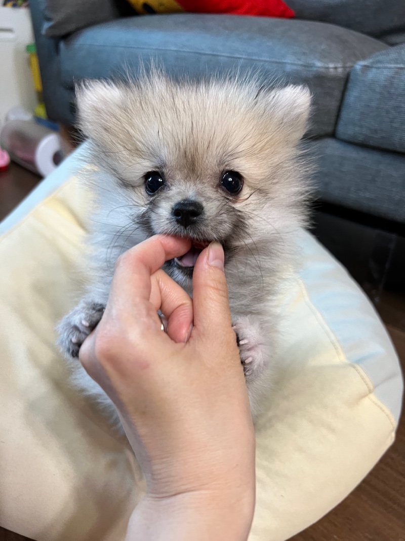 빨리커랏