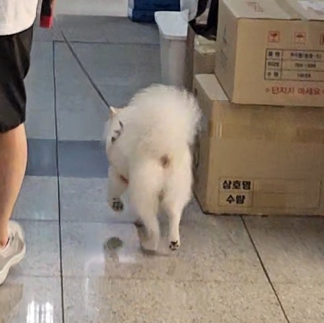 엉덩이너무 기여웡
